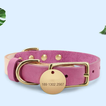 Luxury Leather Cat Collar With Customizable Engraved Plate - Vibrant Color Options
