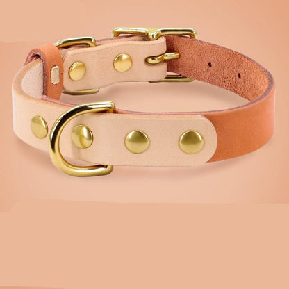 Luxury Leather Cat Collar With Customizable Engraved Plate - Vibrant Color Options