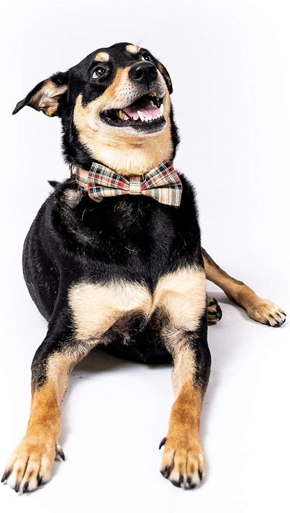 Scottish Tartan Bowtie Dog Collar & Leash Set with Detachable Bow Tie for Girl or Boy Dogs Comfortable Plaid Pattern, Fully Adjustable, Great Pet Gift (XS, Beige)