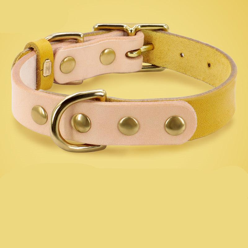 Luxury Leather Cat Collar With Customizable Engraved Plate - Vibrant Color Options