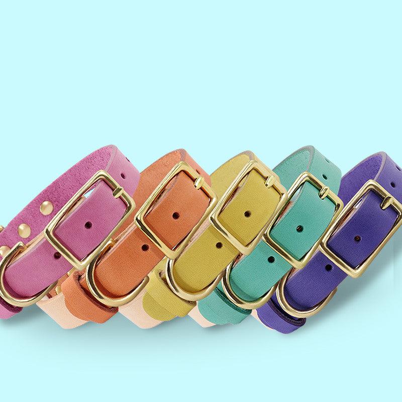 Luxury Leather Cat Collar With Customizable Engraved Plate - Vibrant Color Options