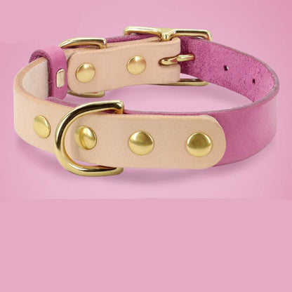 Luxury Leather Cat Collar With Customizable Engraved Plate - Vibrant Color Options