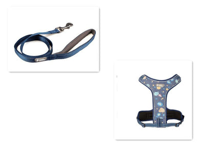 Adventure Paws Dog Harness And Leash Set