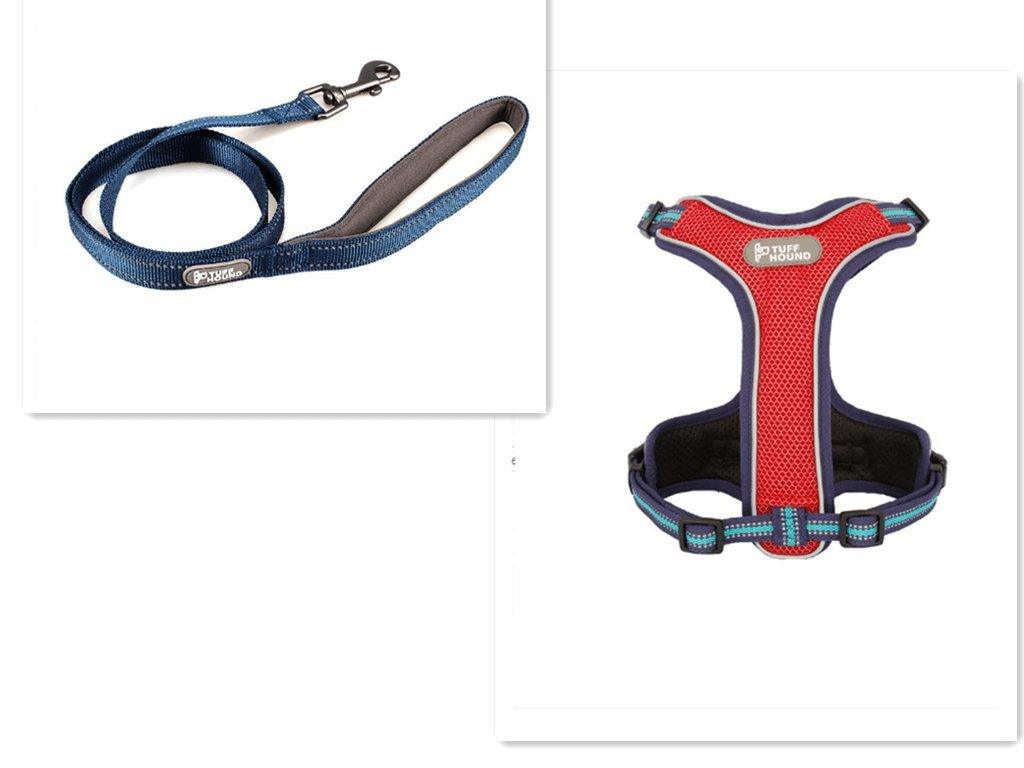 Adventure Paws Dog Harness And Leash Set