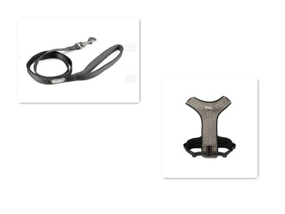 Adventure Paws Dog Harness And Leash Set