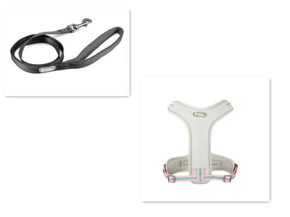 Adventure Paws Dog Harness And Leash Set