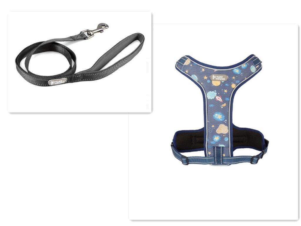 Adventure Paws Dog Harness And Leash Set