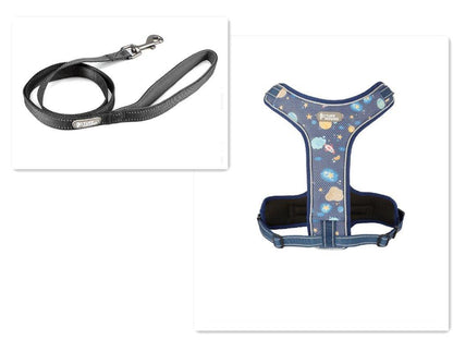 Adventure Paws Dog Harness And Leash Set