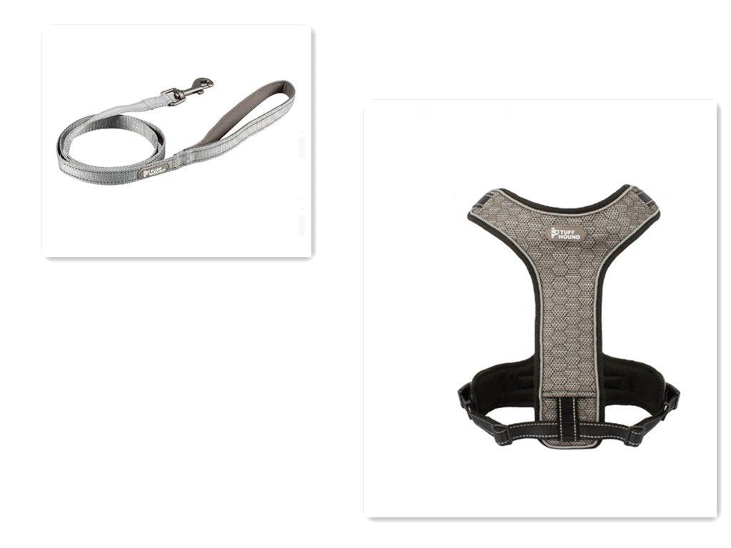 Adventure Paws Dog Harness And Leash Set