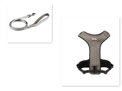 Adventure Paws Dog Harness And Leash Set