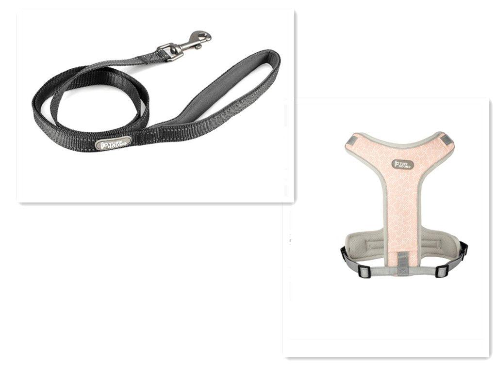 Adventure Paws Dog Harness And Leash Set