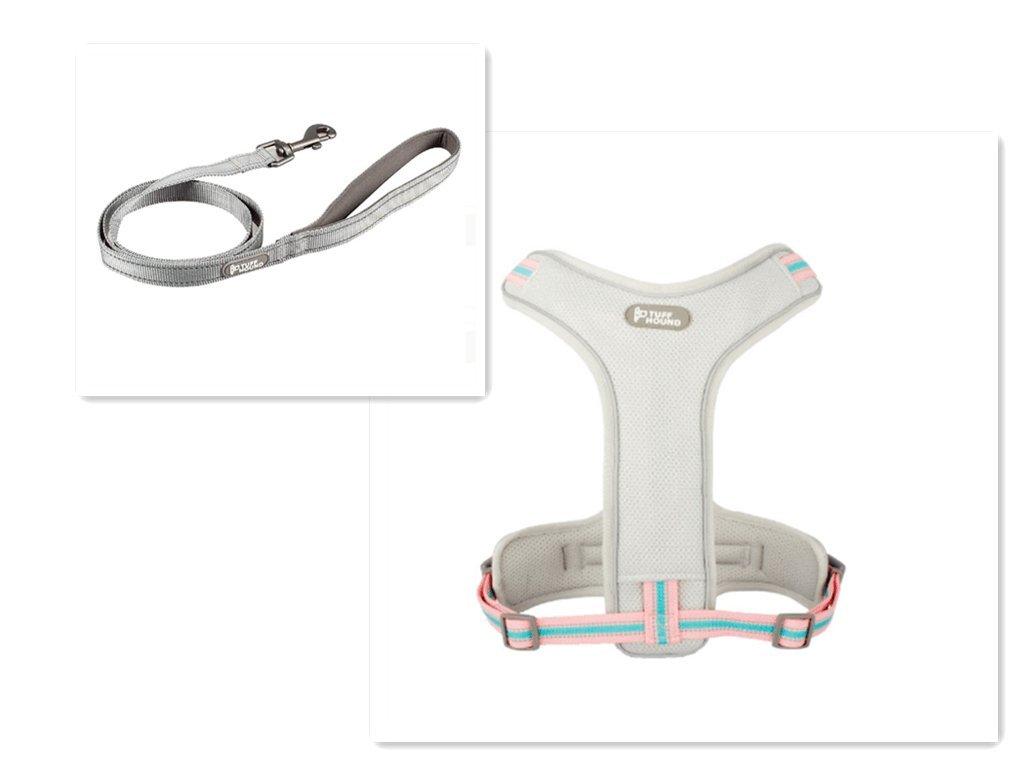 Adventure Paws Dog Harness And Leash Set