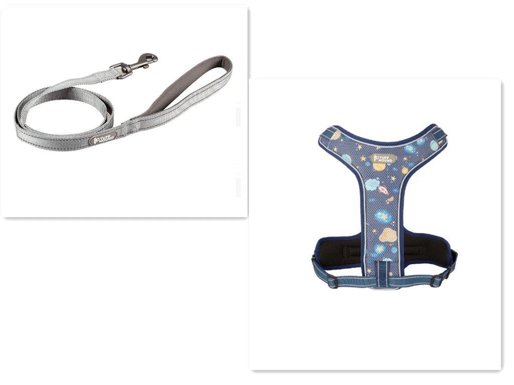 Adventure Paws Dog Harness And Leash Set