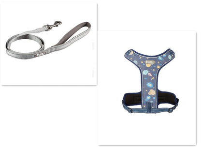 Adventure Paws Dog Harness And Leash Set